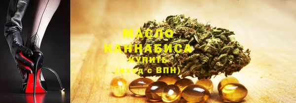 индика Волоколамск