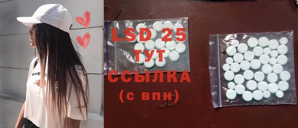 шишки Верея