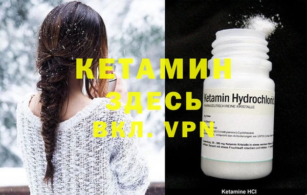 шишки Верея