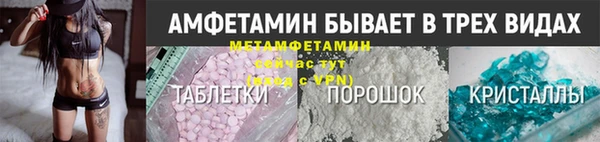 шишки Верея