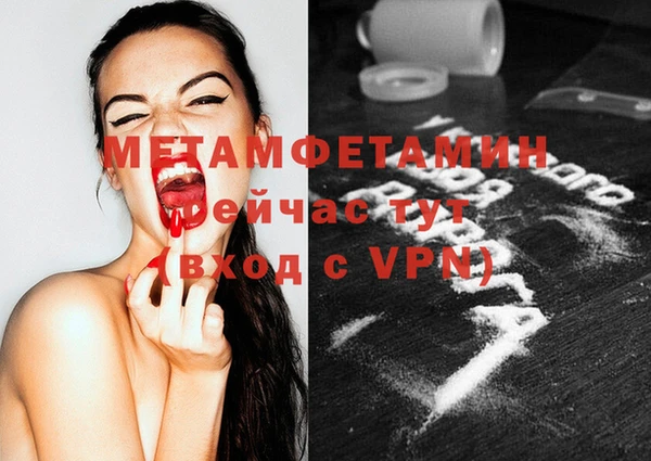 шишки Верея