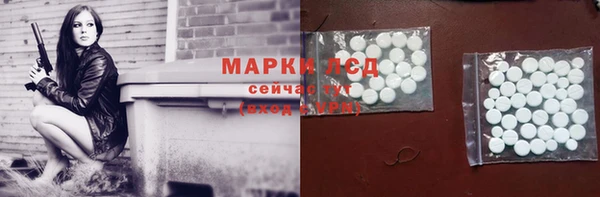 шишки Верея