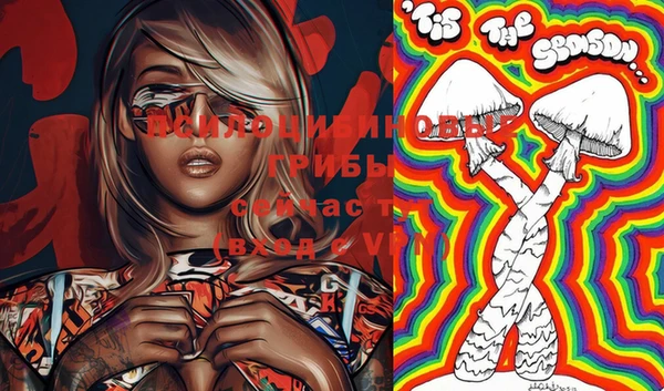 шишки Верея