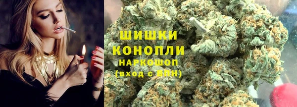 шишки Верея