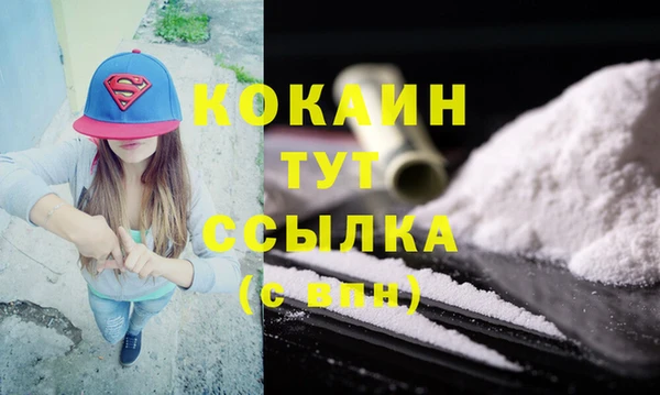 шишки Верея
