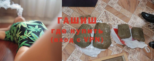 шишки Верея